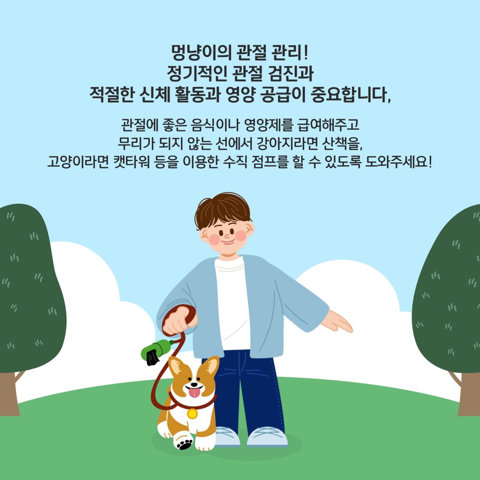 멍냥이 관절건강 체크리스트