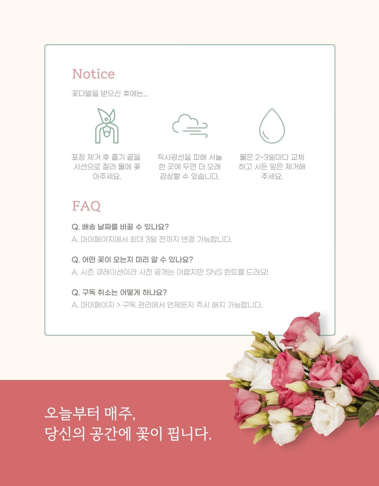 꽃집 꽃 구독 정기배송 상세페이지