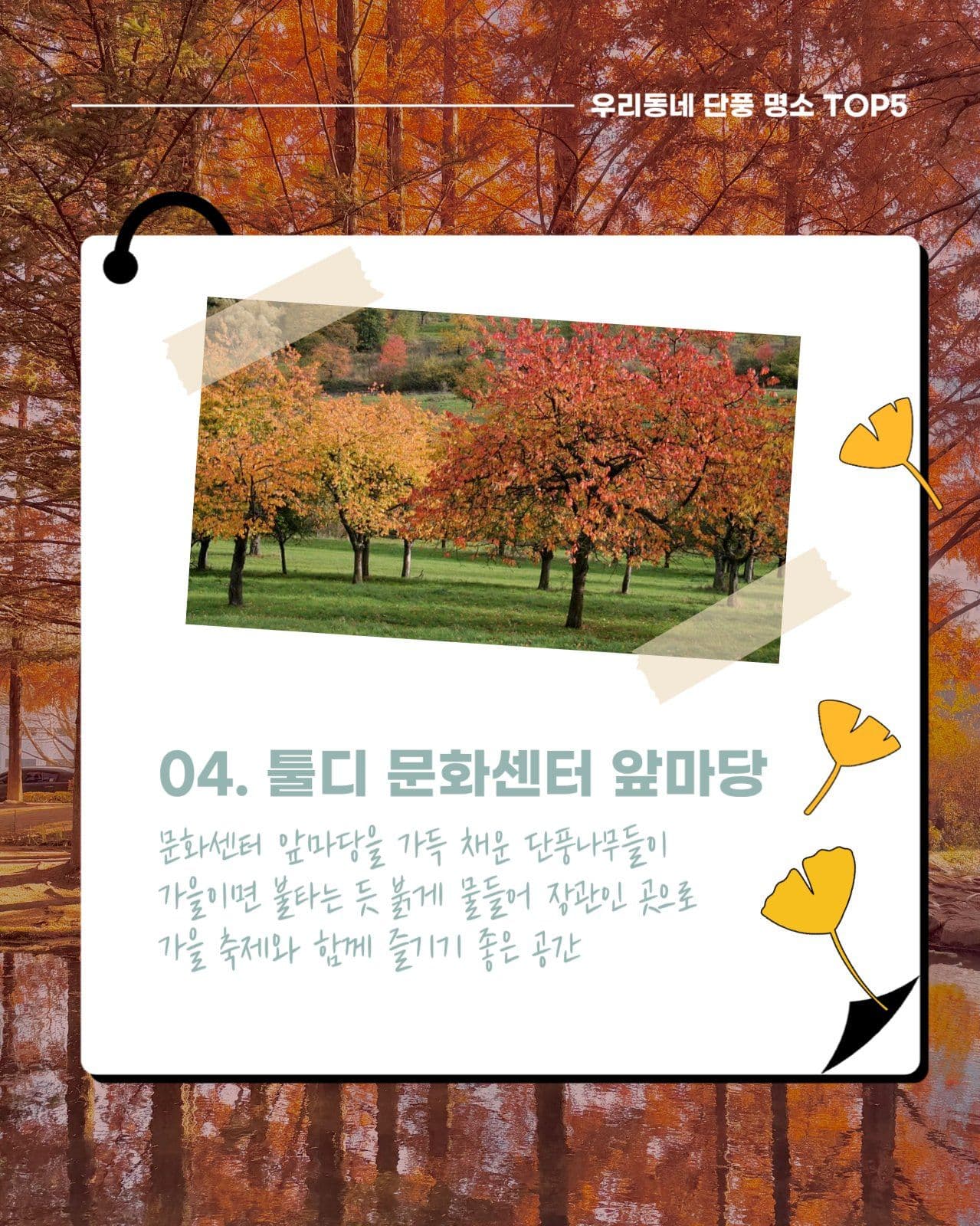 가을 단풍 명소 소개 카드뉴스