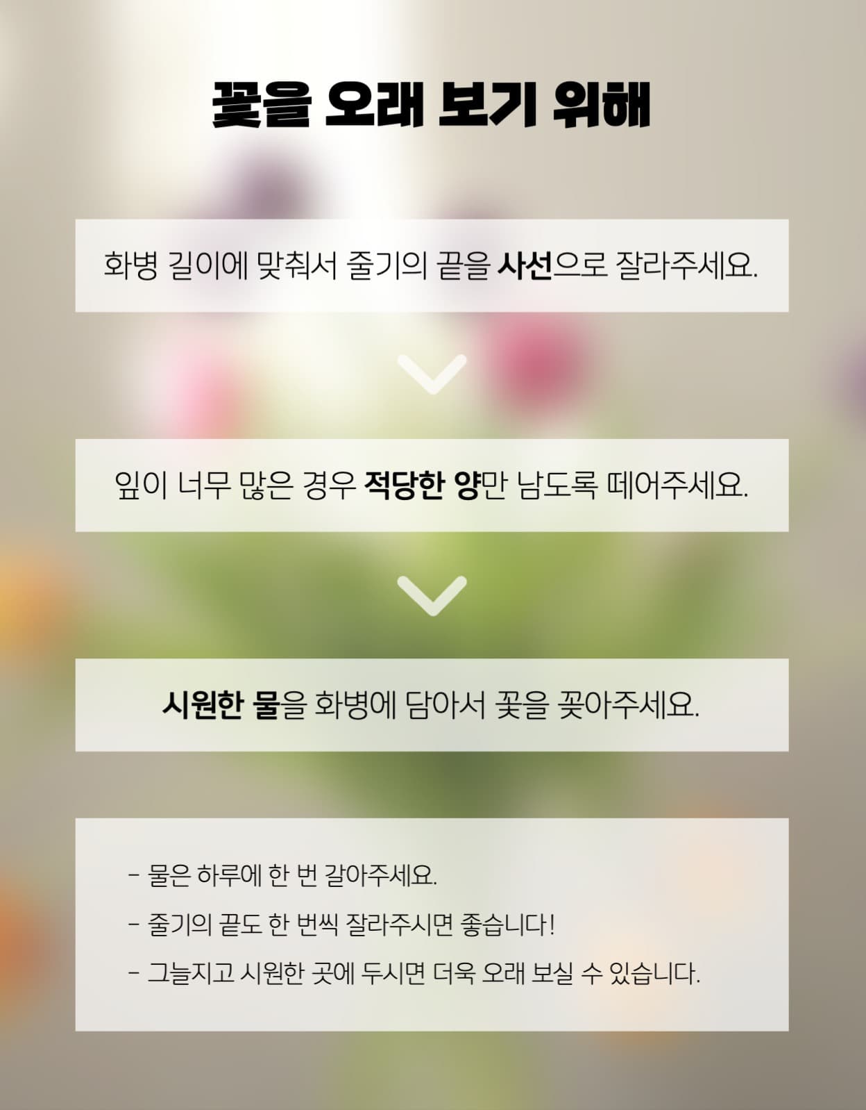 꽃 정기구독 상세페이지