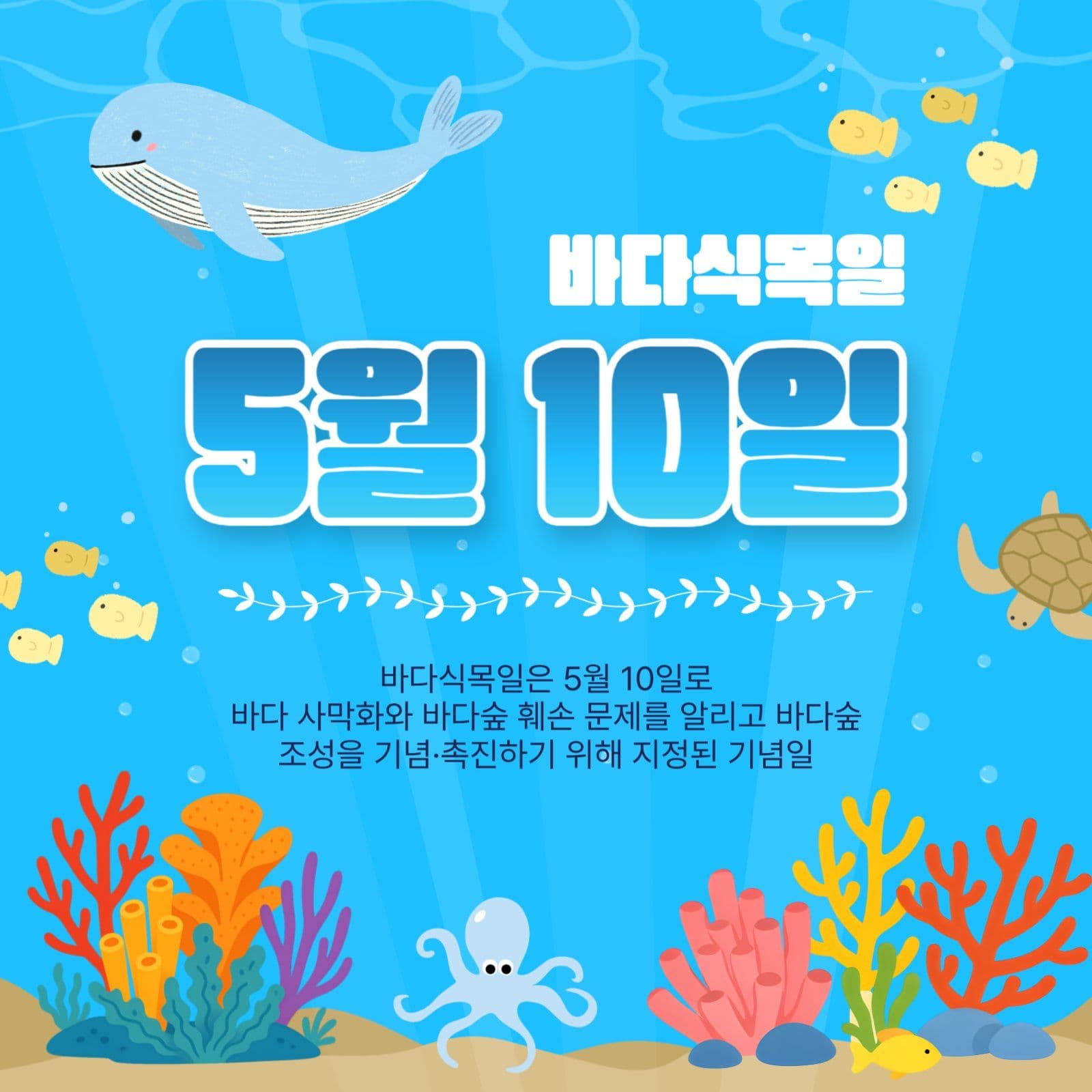 바다식목일5월10일
