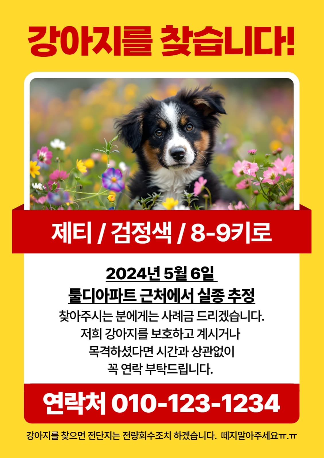 강아지를 찾습니다.