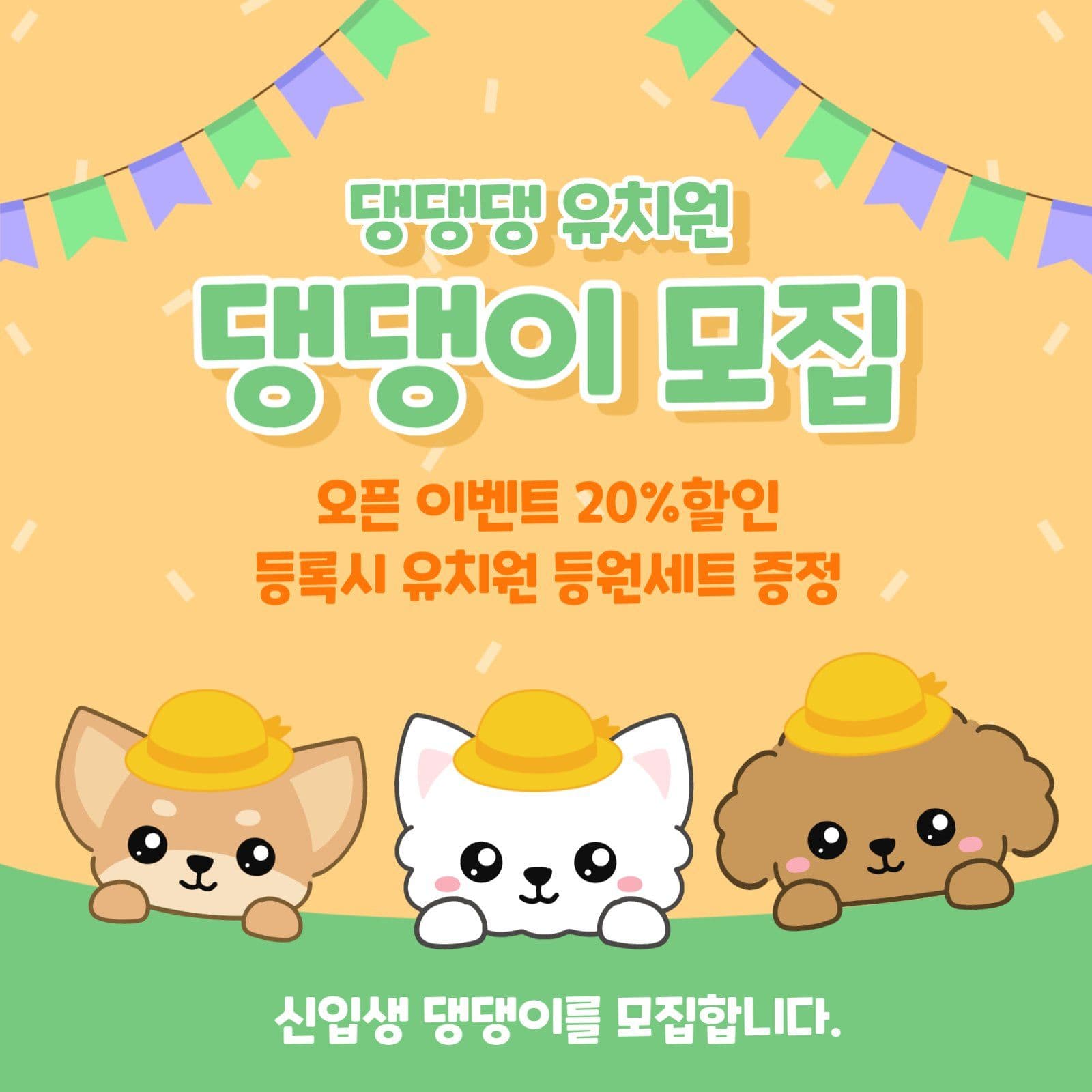 애견 유치원 모집
