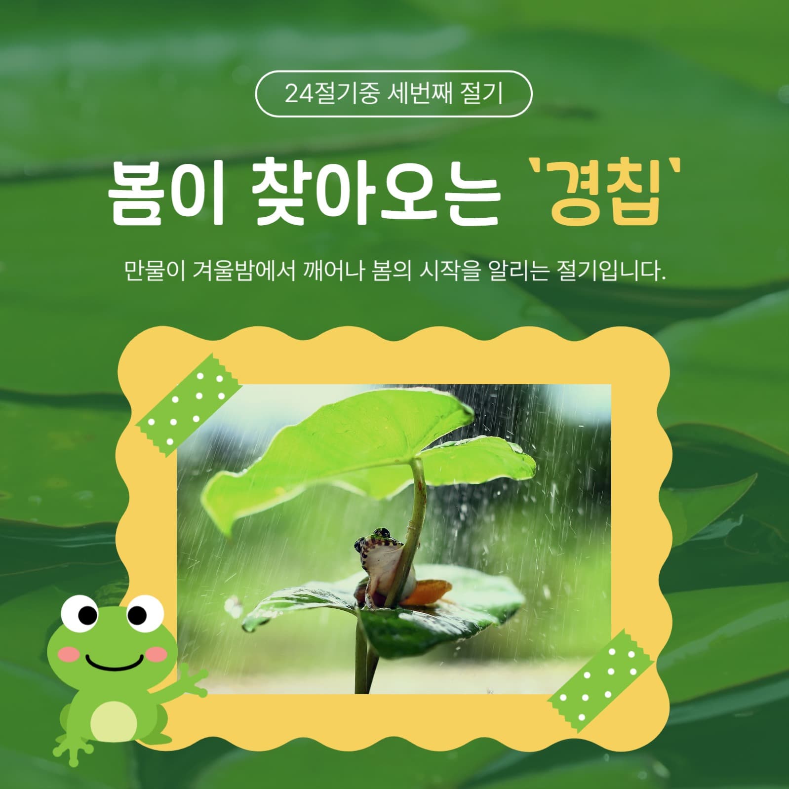 봄이찾아오는경칩