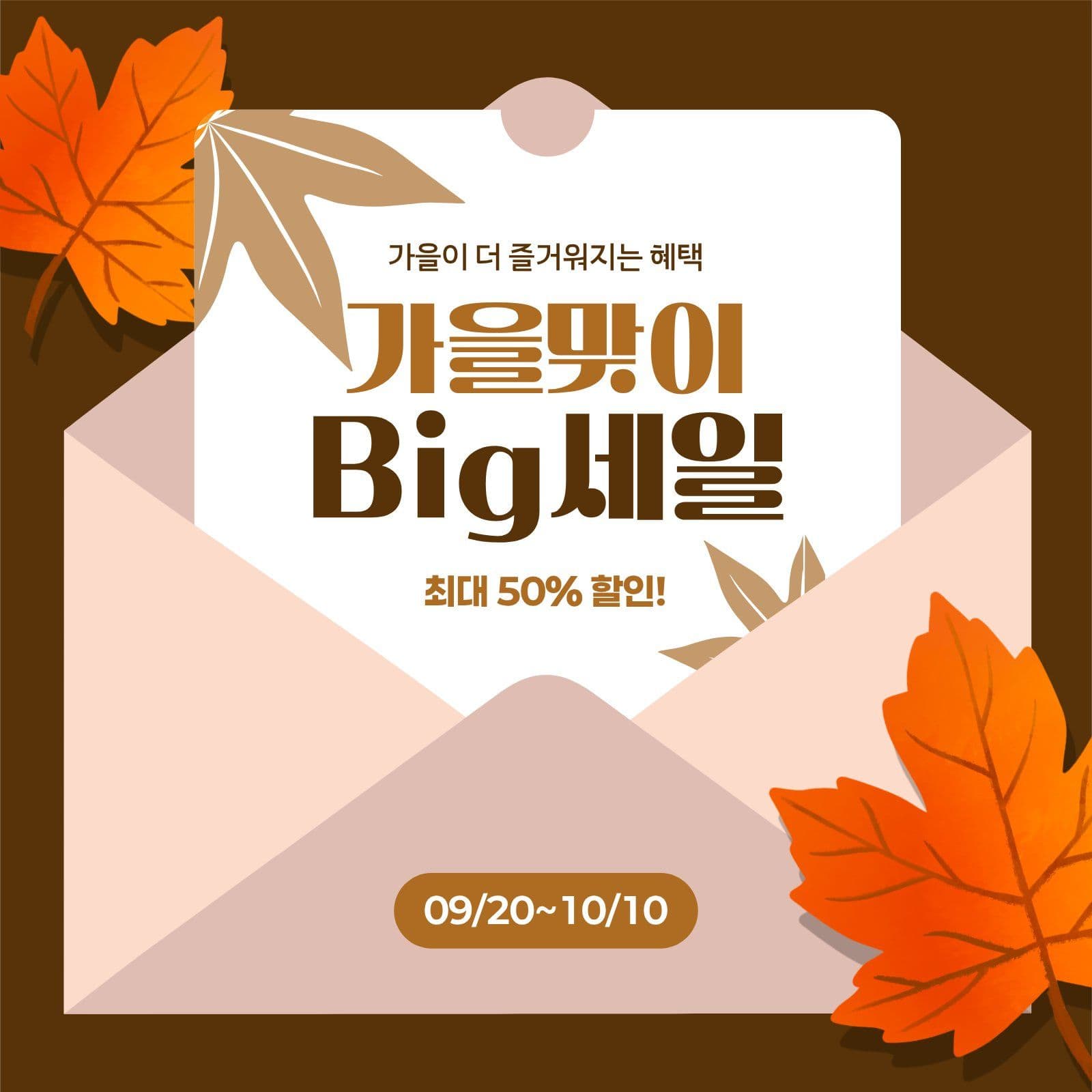 가을 세일 카드뉴스
