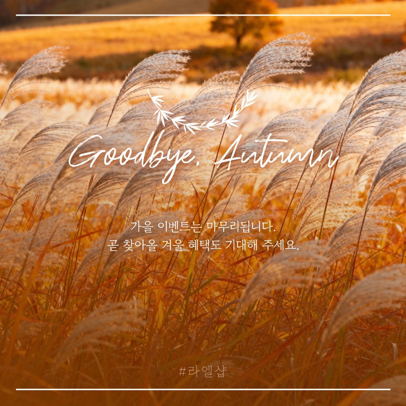 가을 이벤트 마무리 팝업