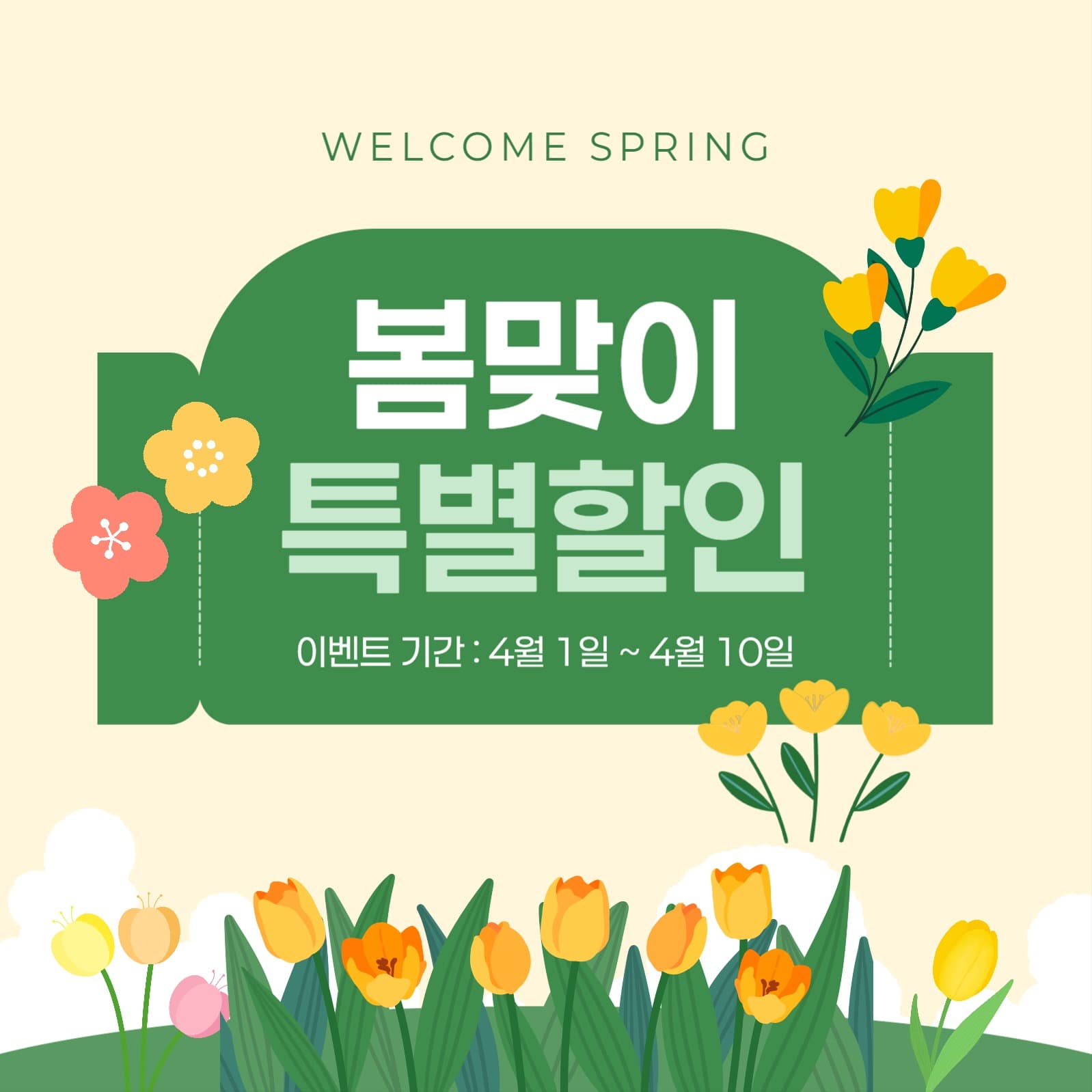 봄맞이 특별할인