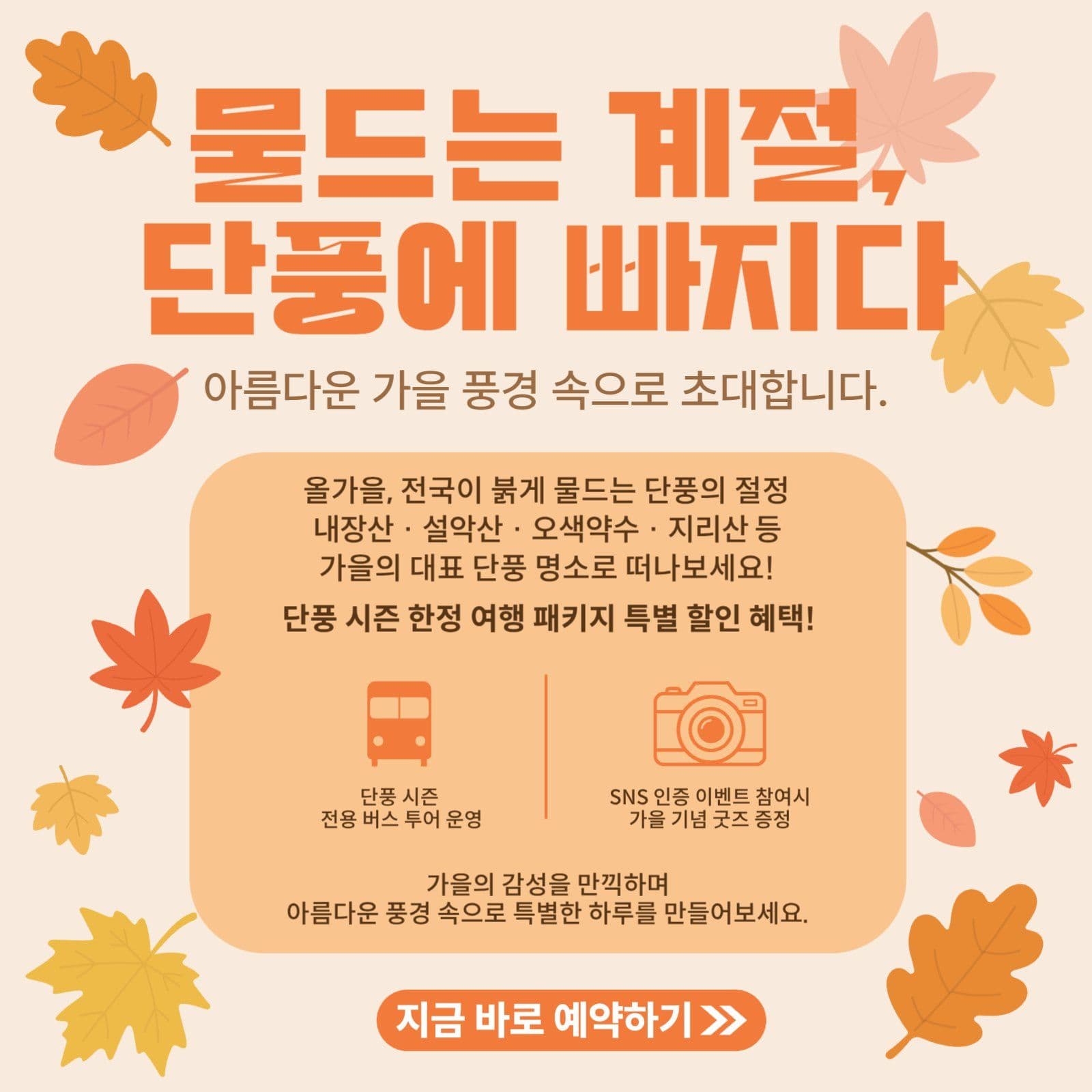 단풍명소여행