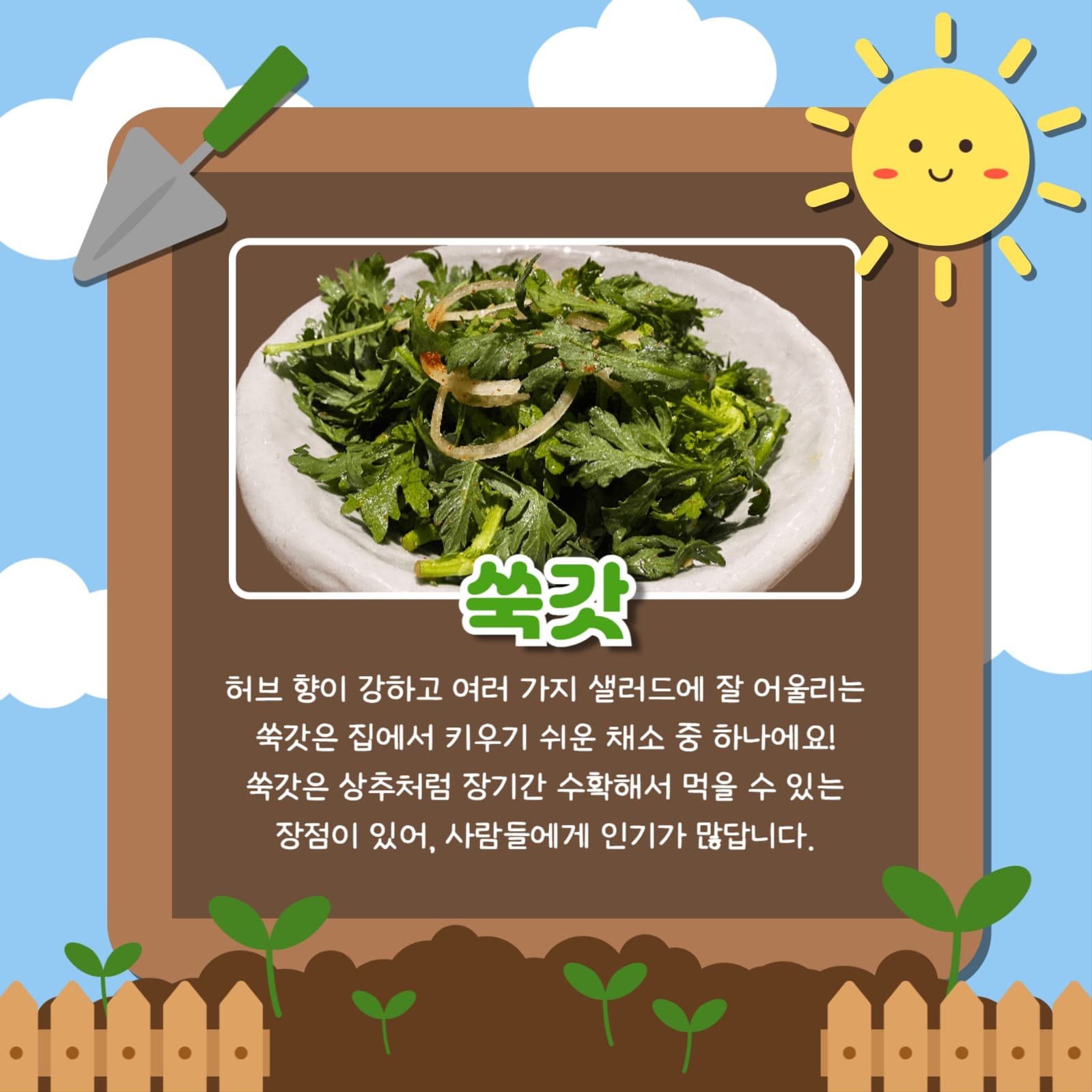 키우기 좋은 채소 카드뉴스