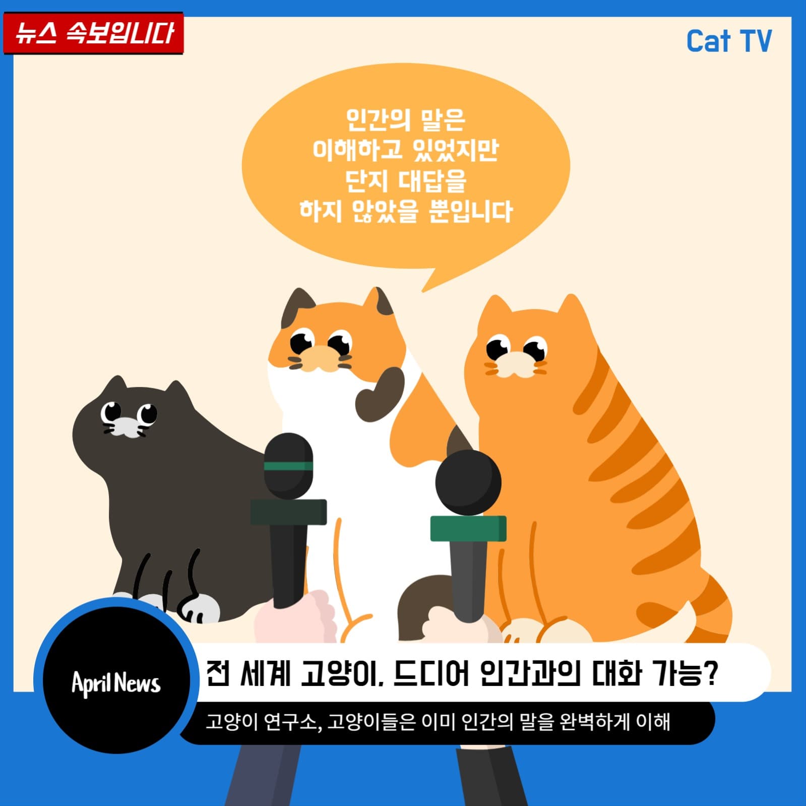 만우절 - 고양이 뉴스