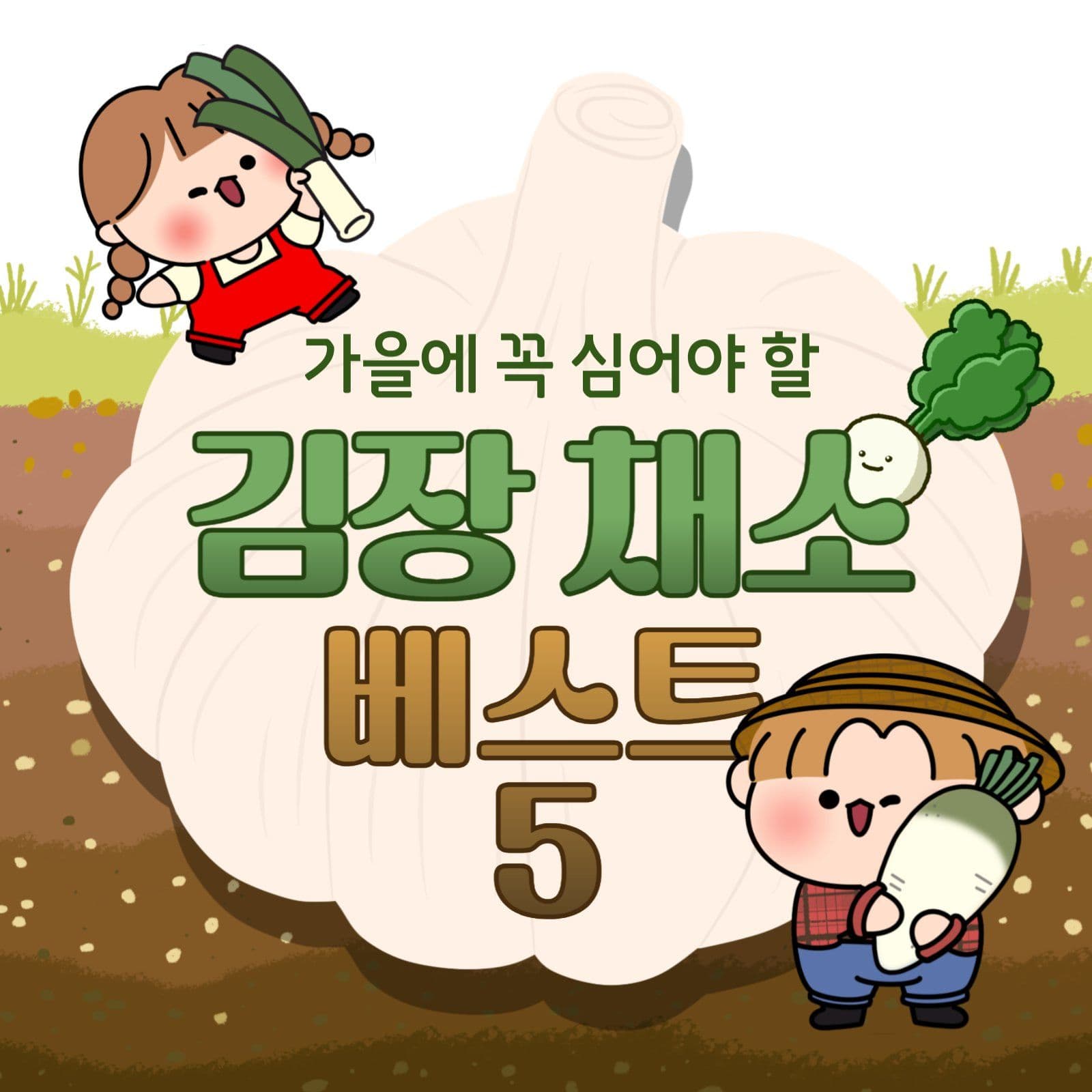 가을김장채소