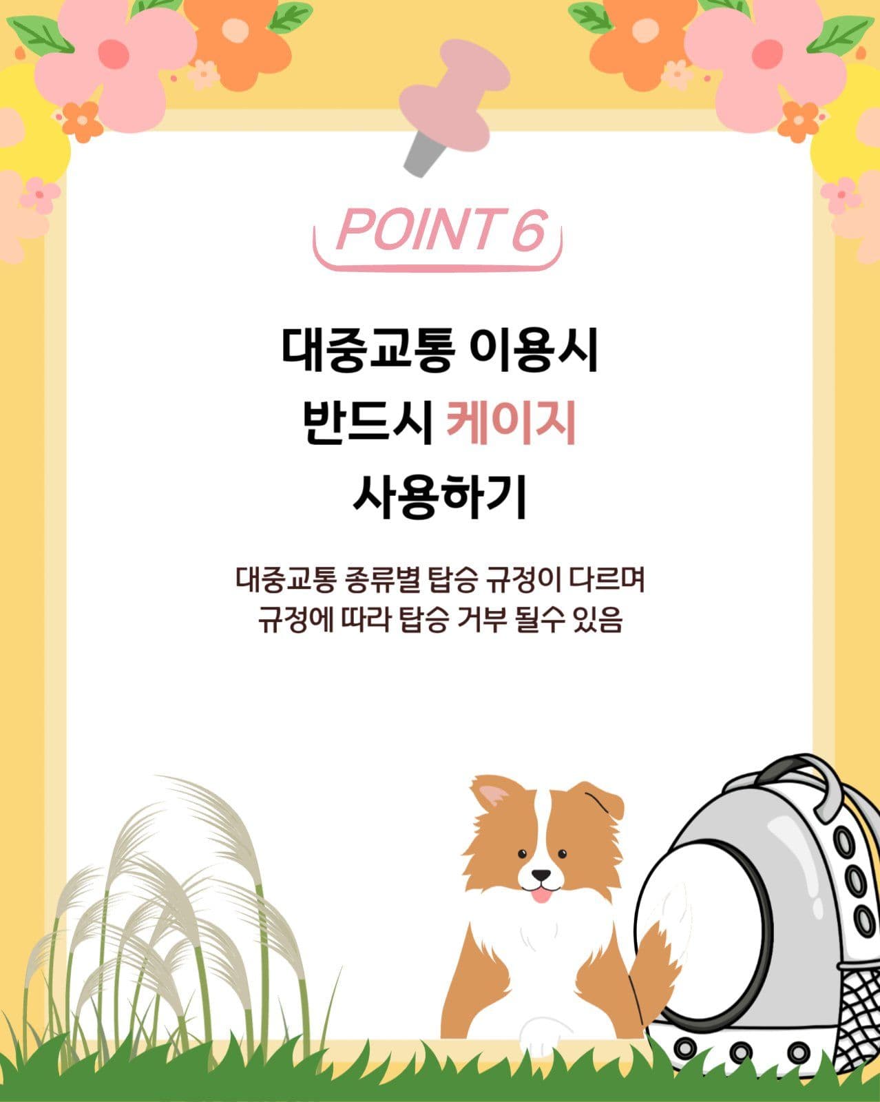 반려동물 펫티켓