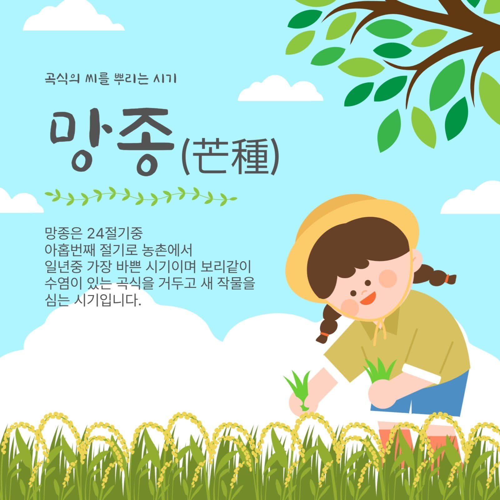 곡식뿌리는망종