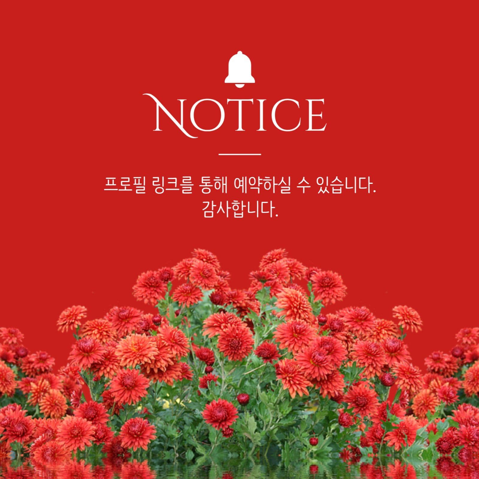 예약 안내 게시물