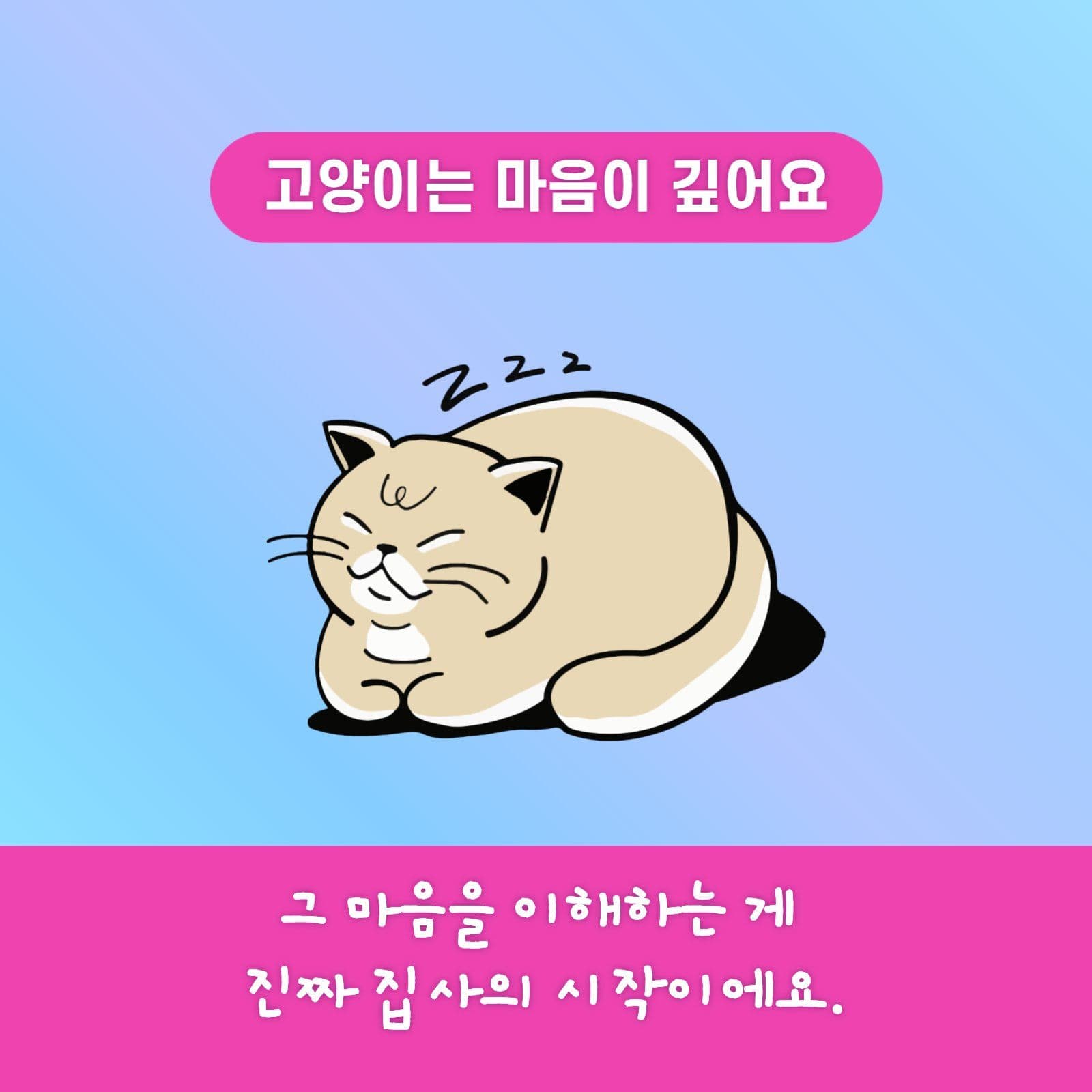 고양이와 집사