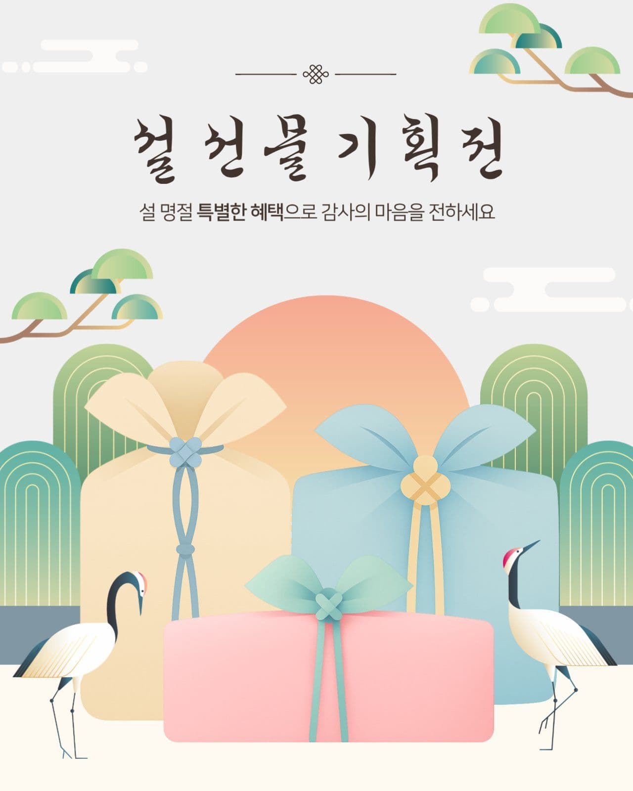 설선물 기획전