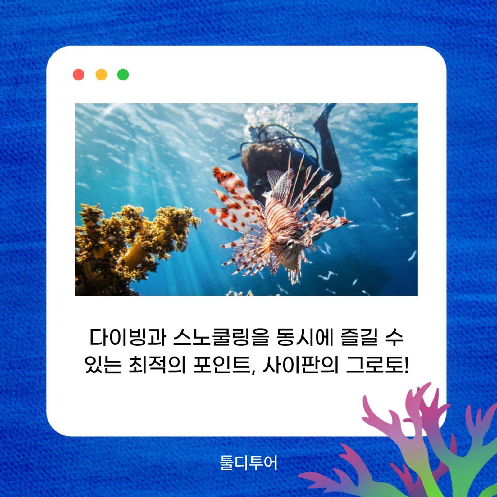 여행지소개 카드뉴스 투어상품 홍보 