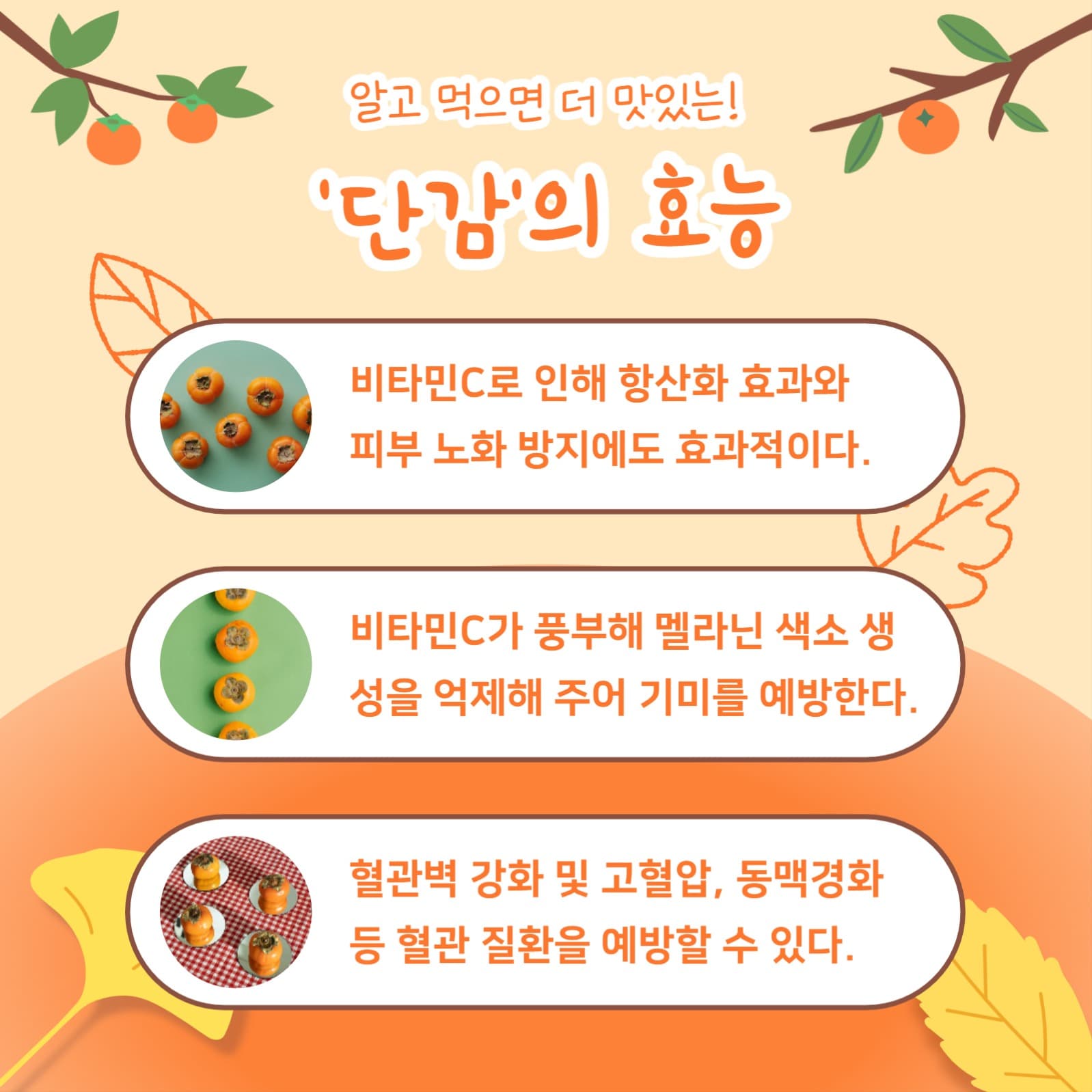 가을 단감 정보 (카드뉴스)