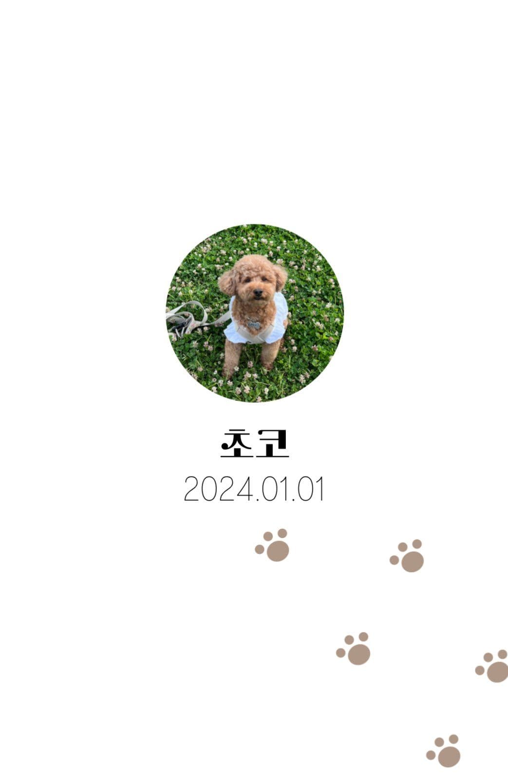 귀여운 강아지 발바닥 포토카드