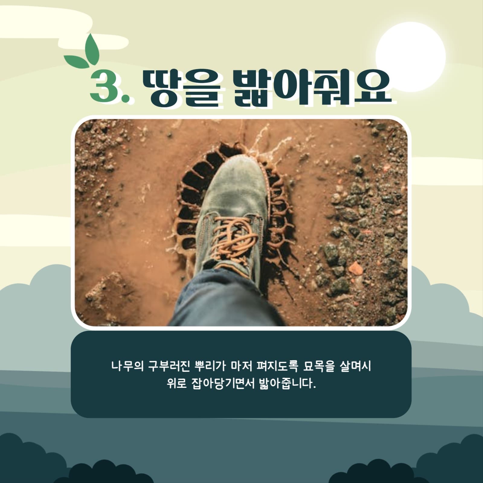 식목일 카드뉴스