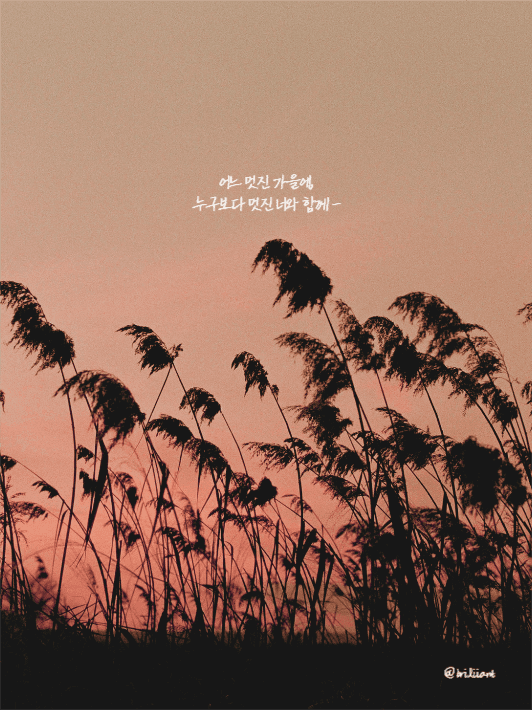 아이패드 가을배경화면
