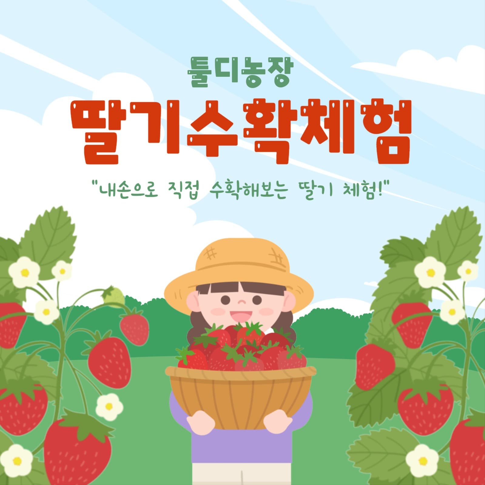 딸기수확체험