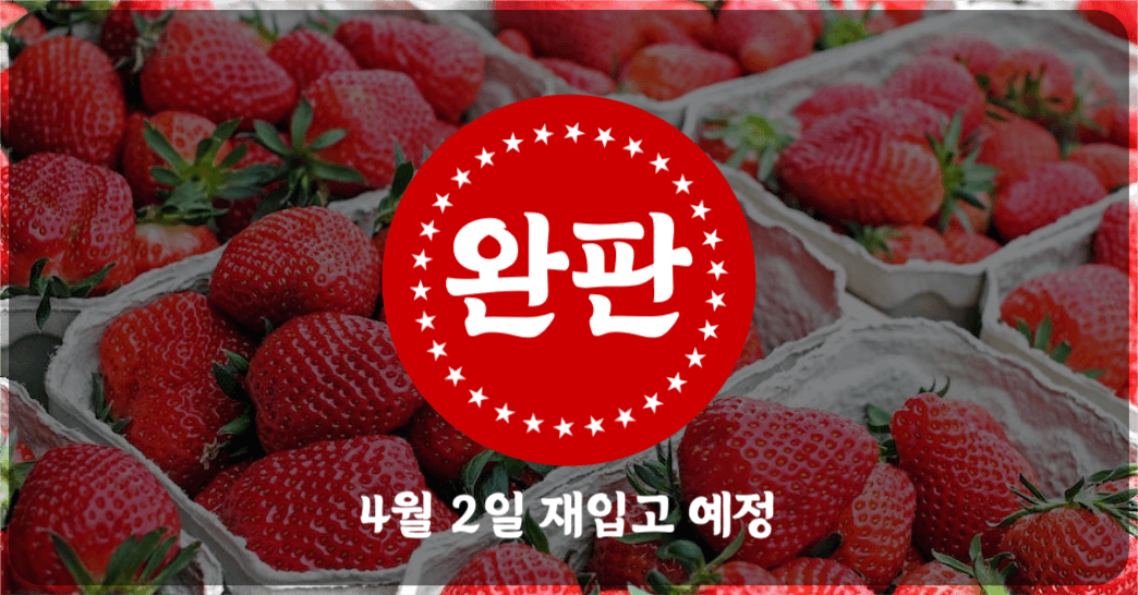 딸기 완판 재입고 예정 인스타그램