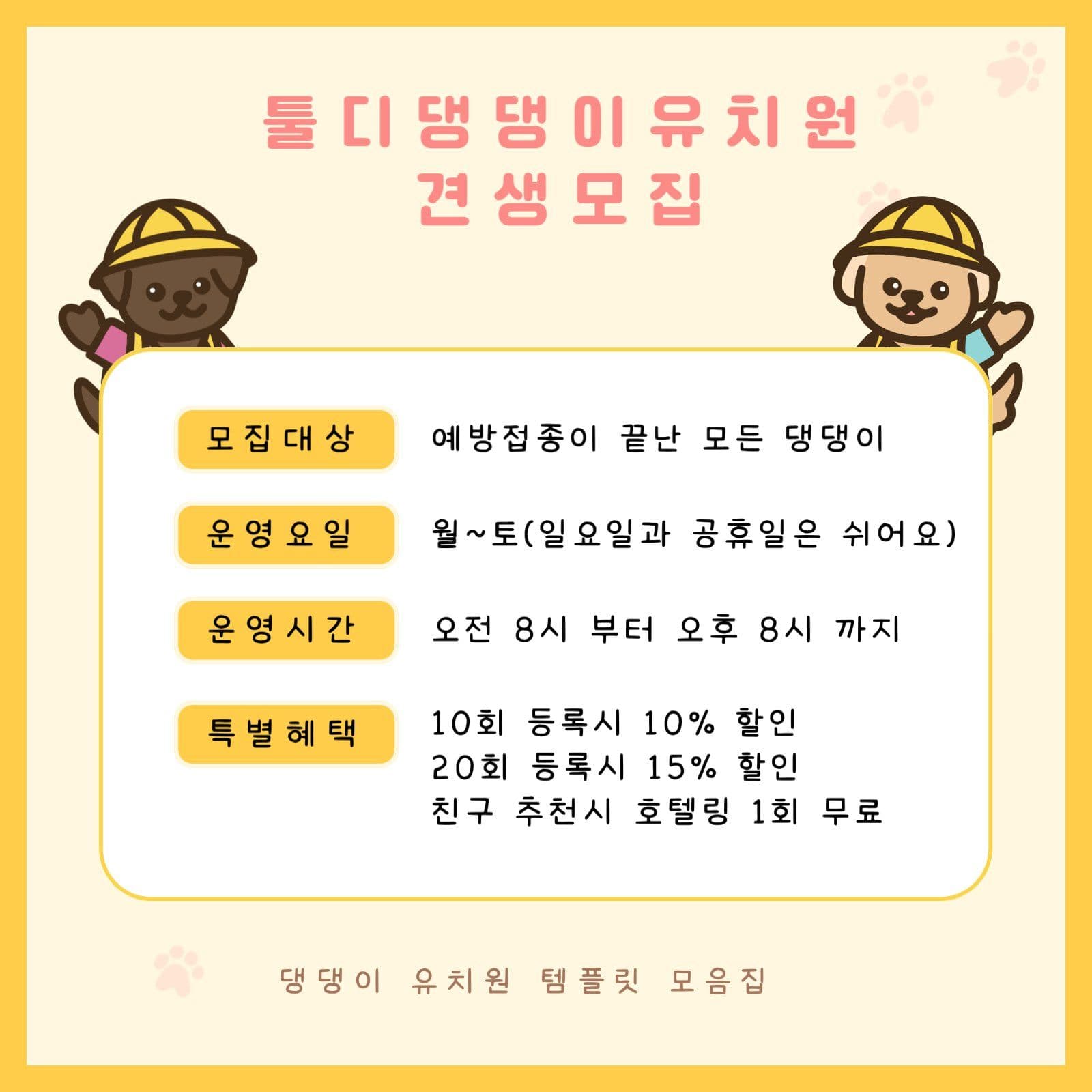 강아지 유치원 모집 카드뉴스