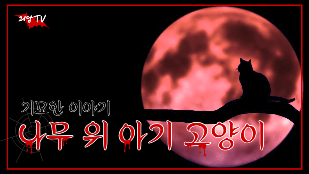 유튜브_괴담