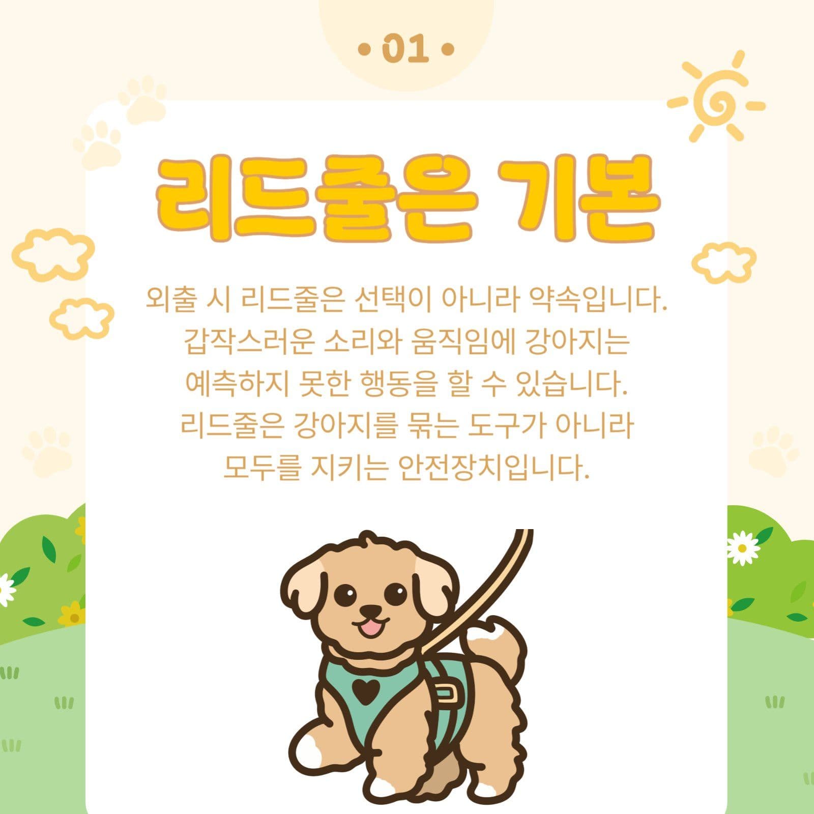 반려동물 펫티켓