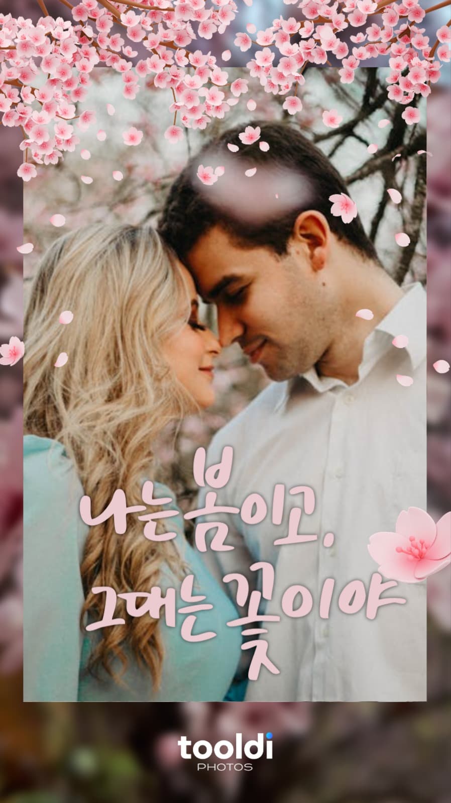 그댄 꽃이야 - 툴디포토스