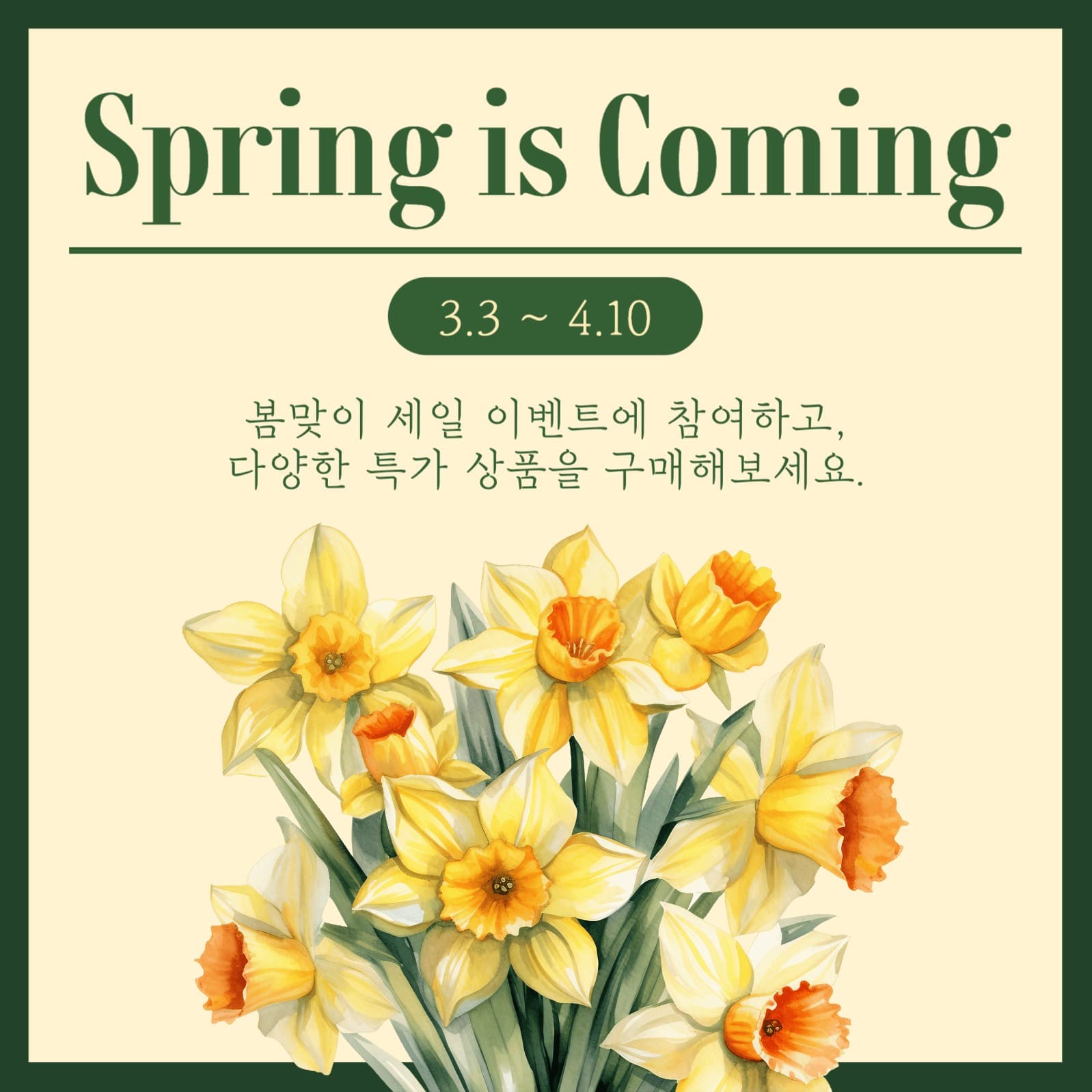 봄 특가 프로모션