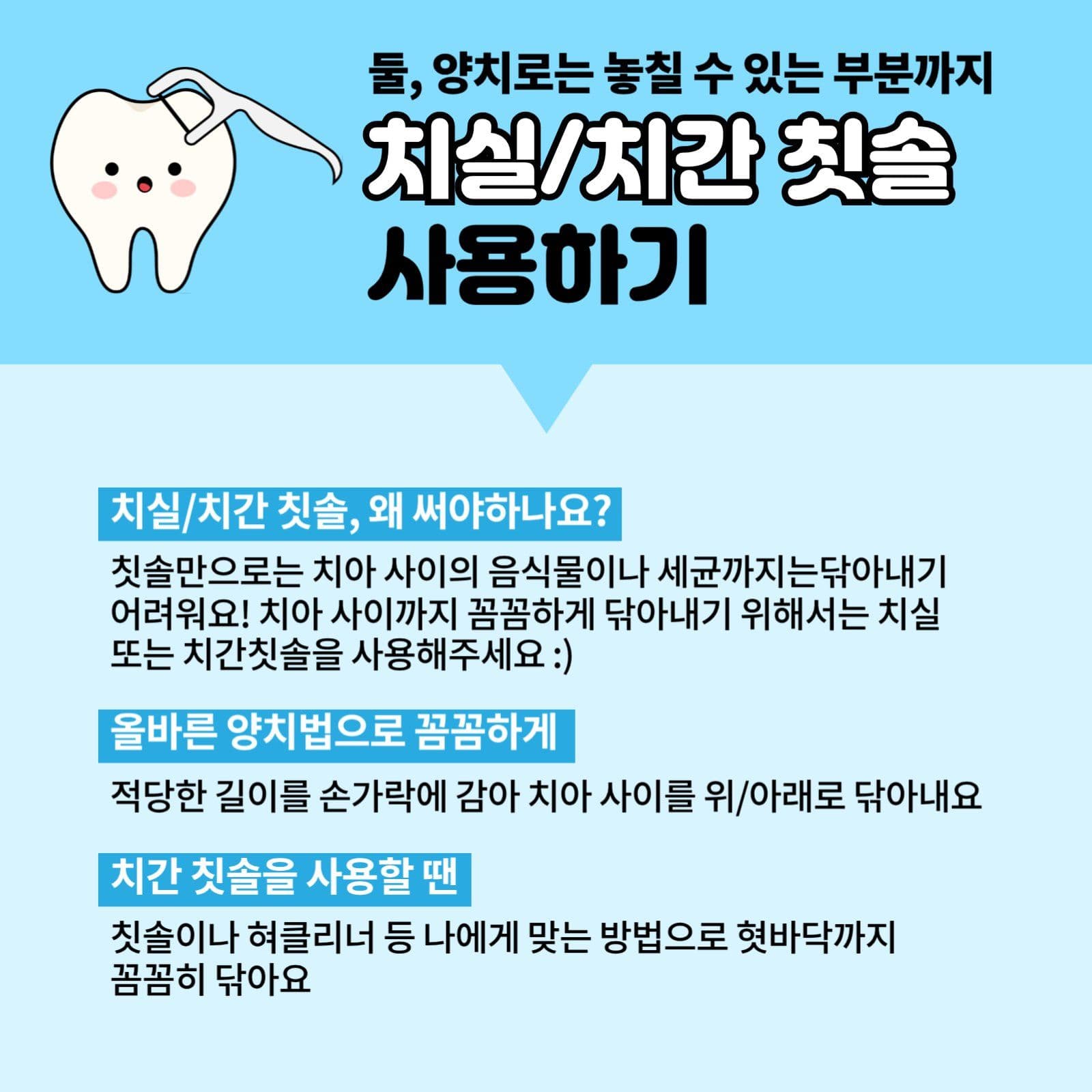 치아관리법