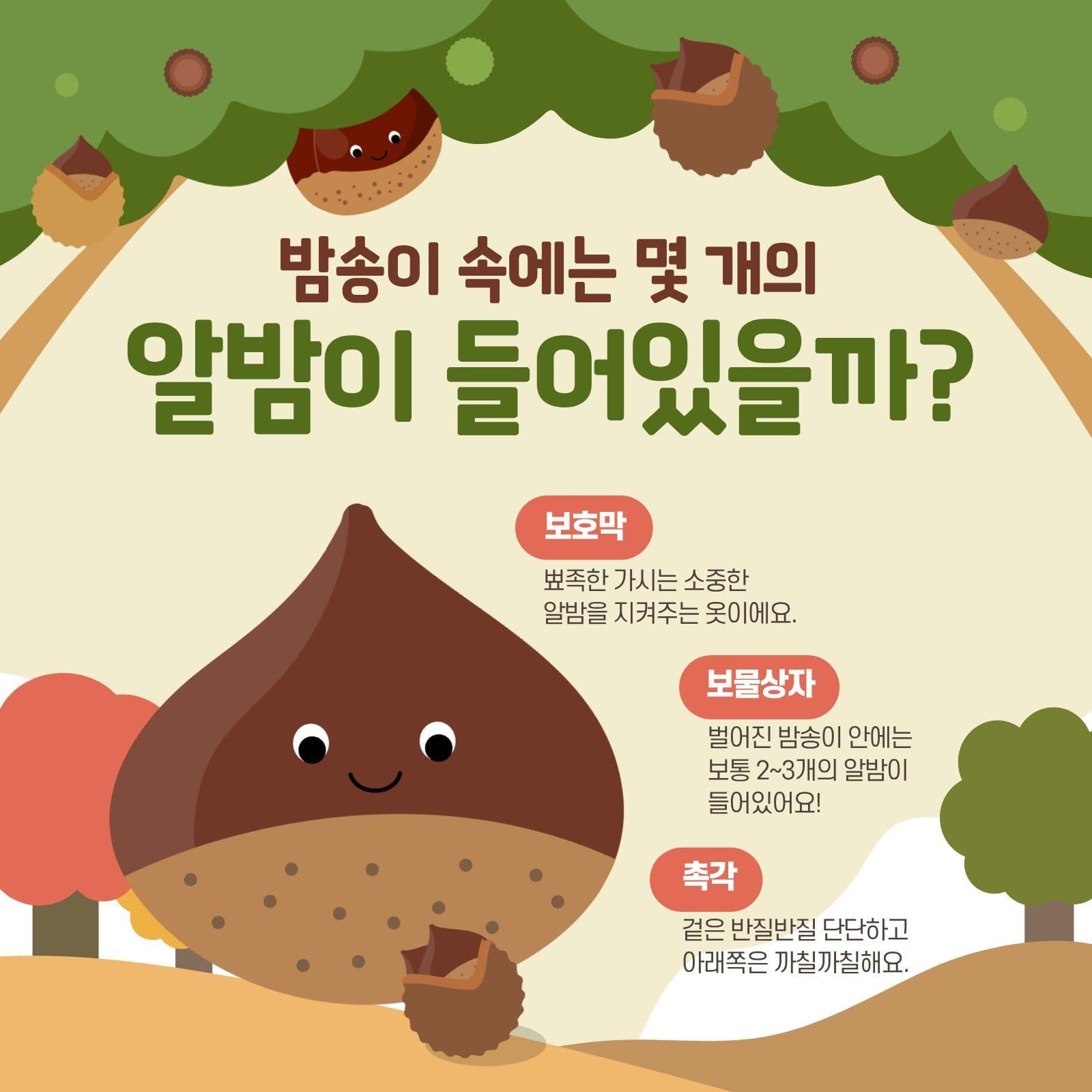 가을소풍 밤수확 Card News Templates