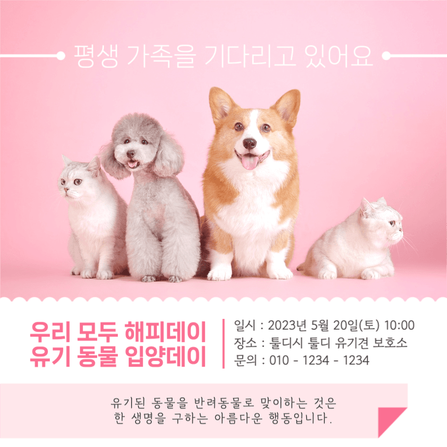 유기 동물 입양데이 안내 인스타그램