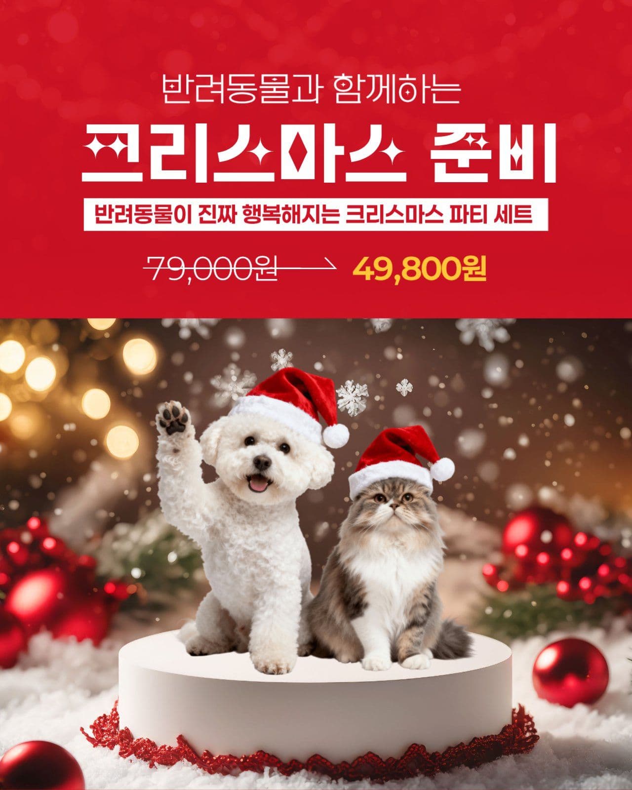 반려동물 파티세트 할인