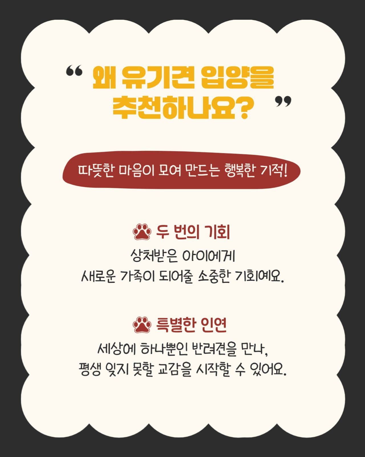 블랙 베이지 귀여운 카드뉴스