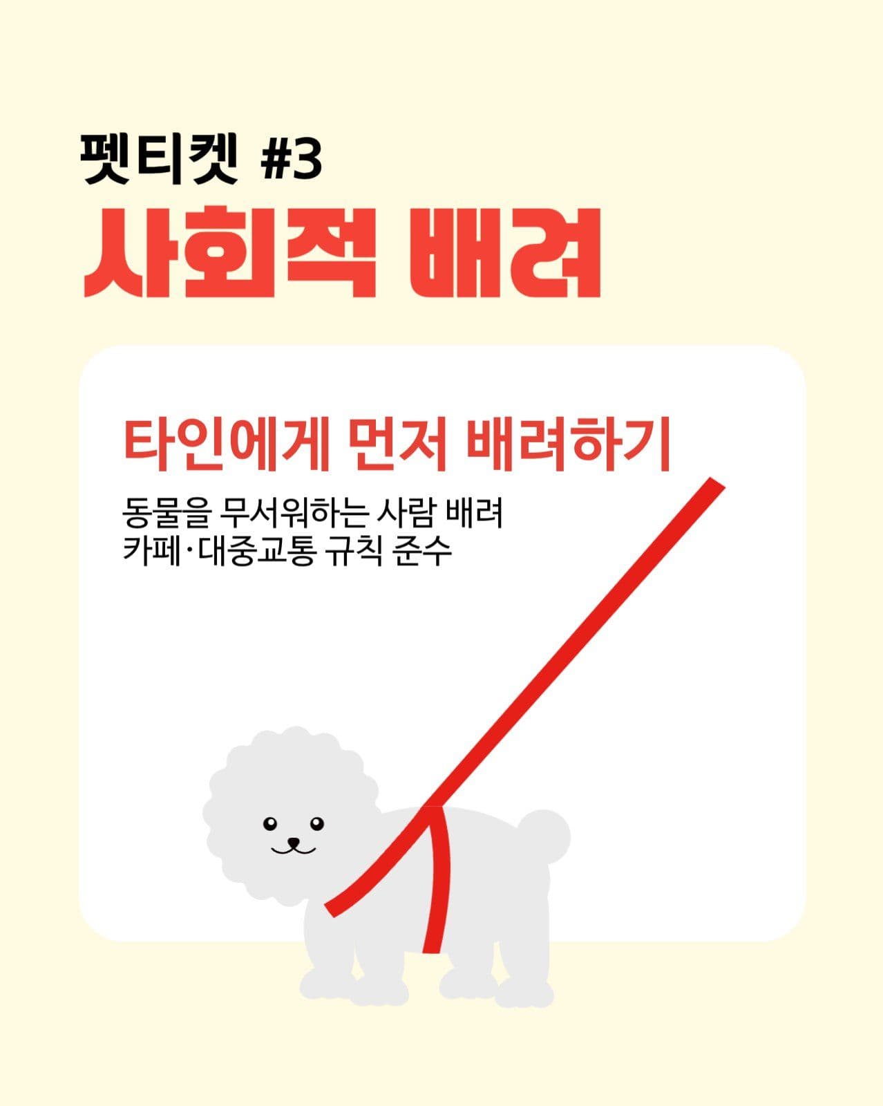 노랑색 귀여운 반려동물 펫티켓카드뉴스