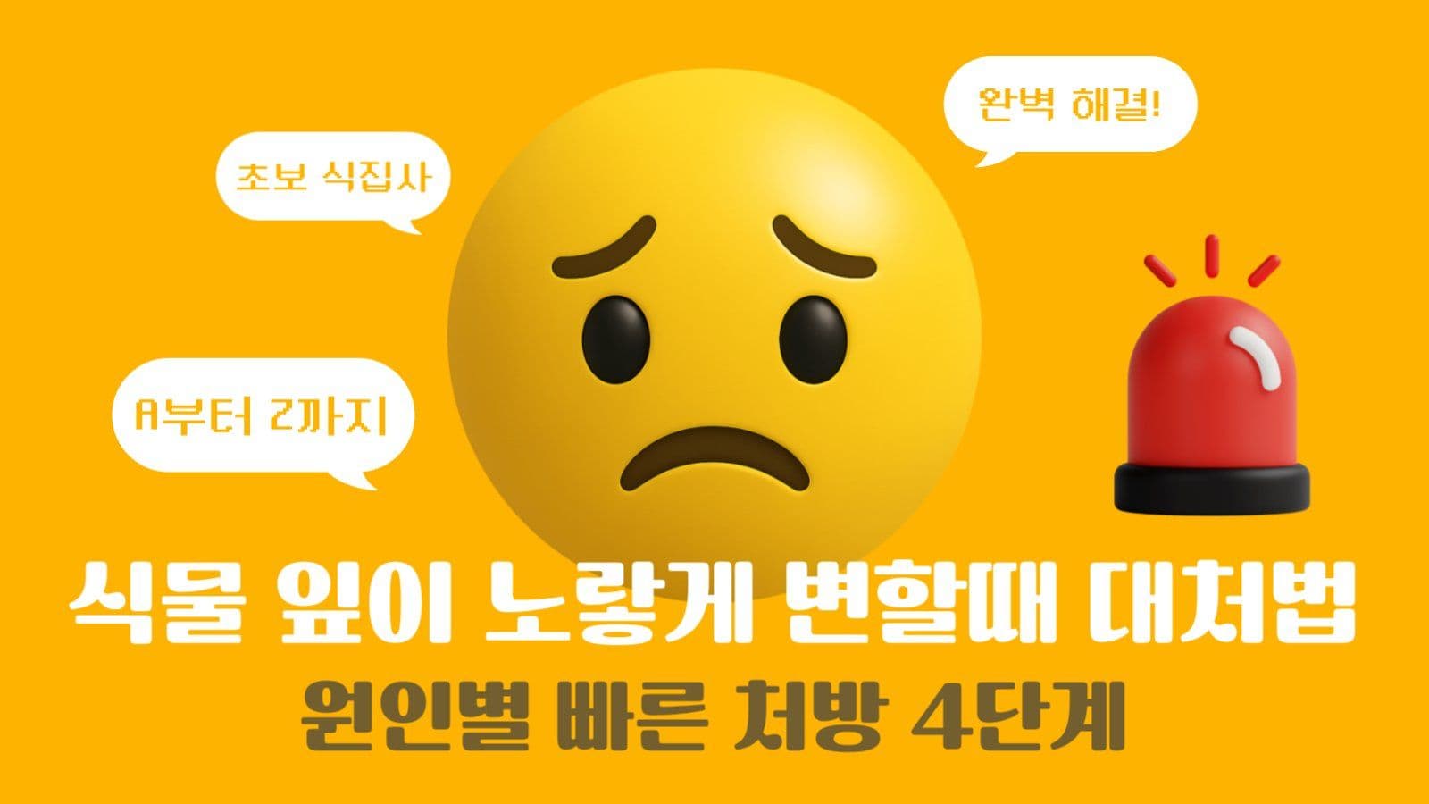식물 유튜브 썸네일