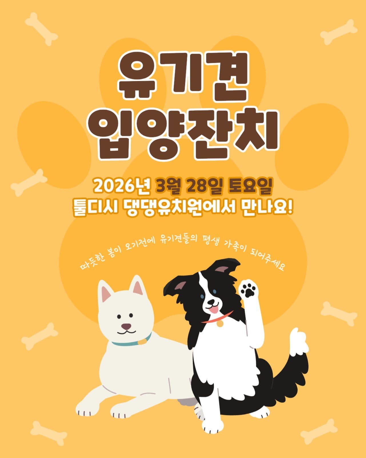 유기견 입양잔치