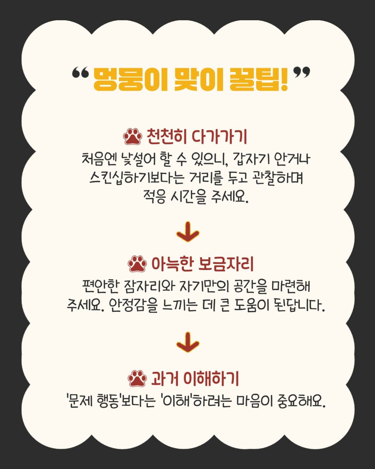 블랙 베이지 귀여운 카드뉴스