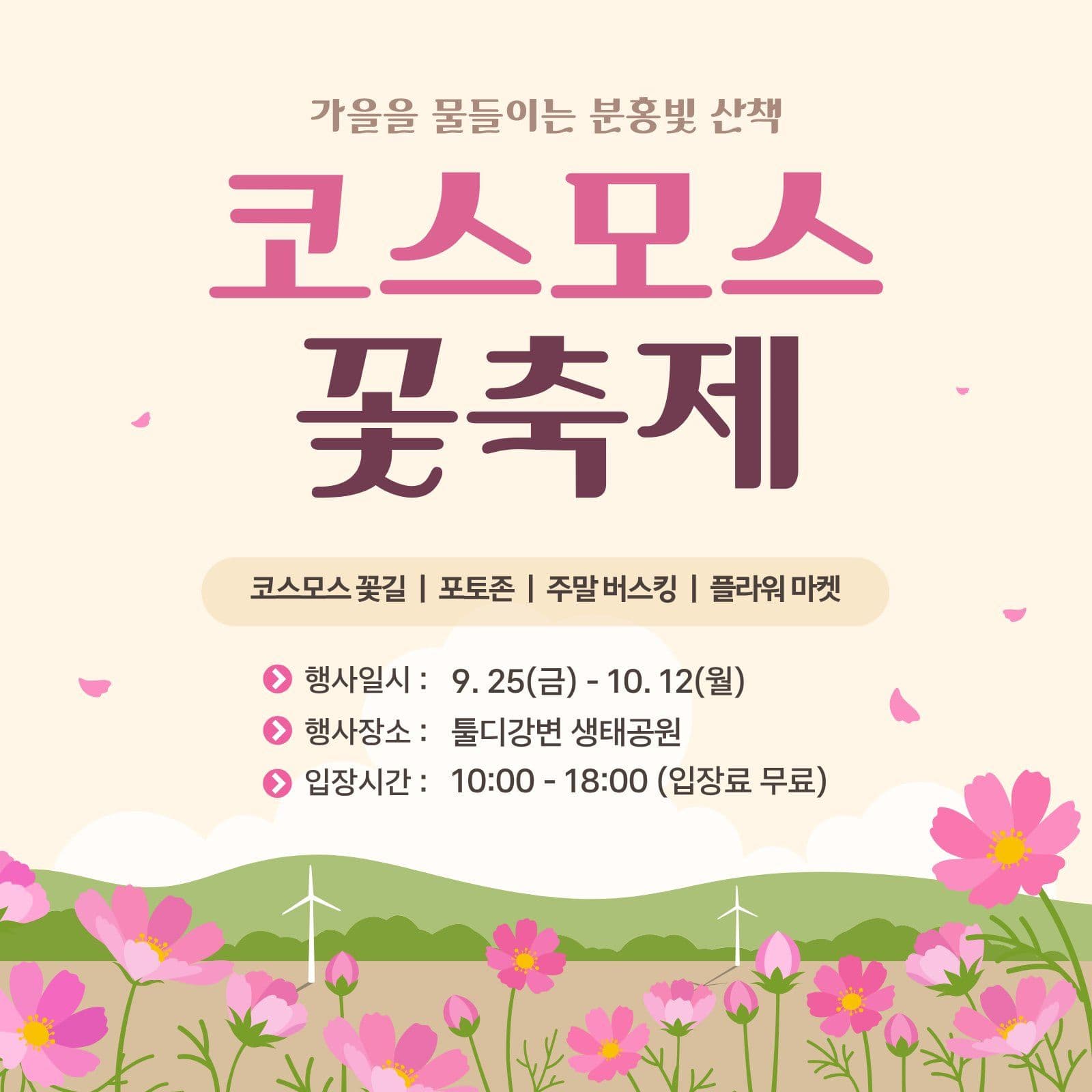 코스모스 꽃축제