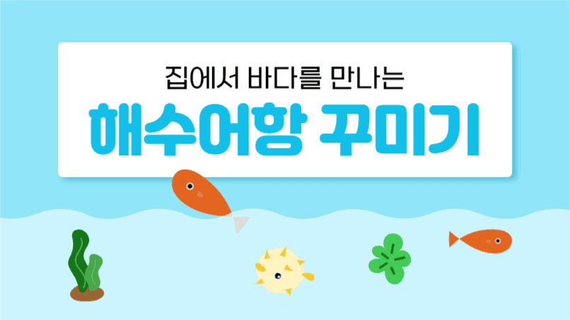 해수어항 꾸미기 유튜브