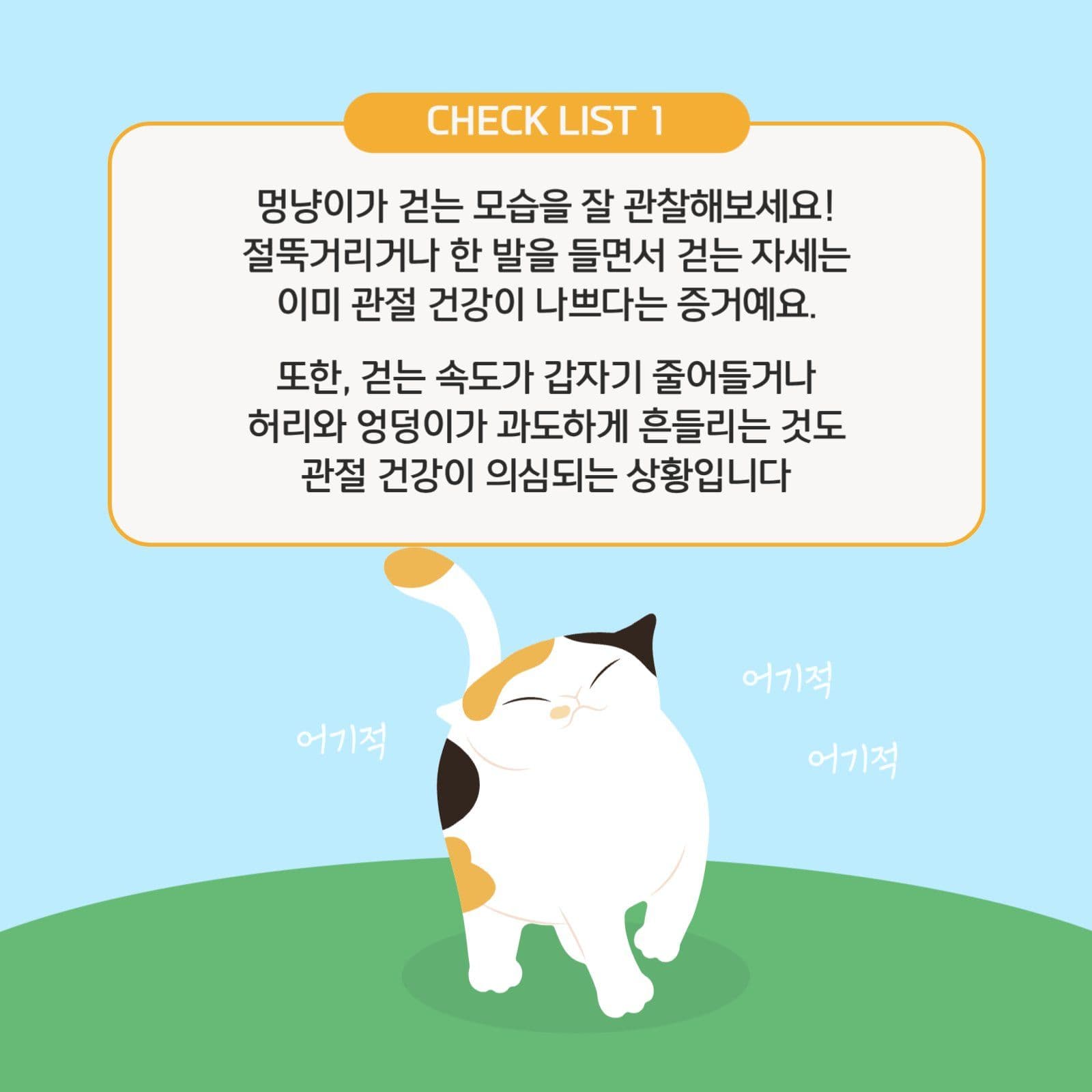 멍냥이 관절건강 체크리스트