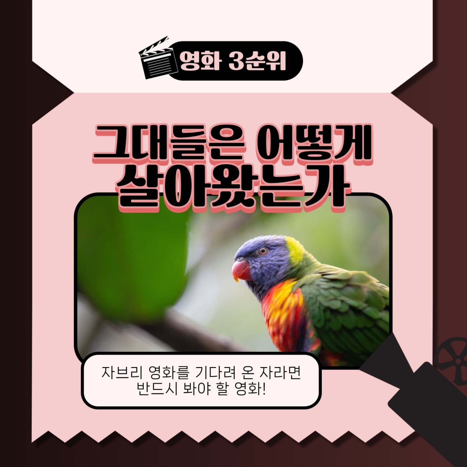 영화 템플릿