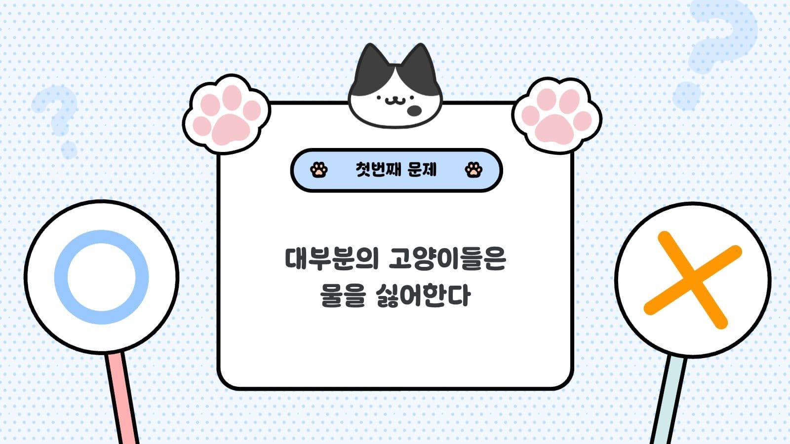 오엑스 퀴즈용 PPT 고양이 편