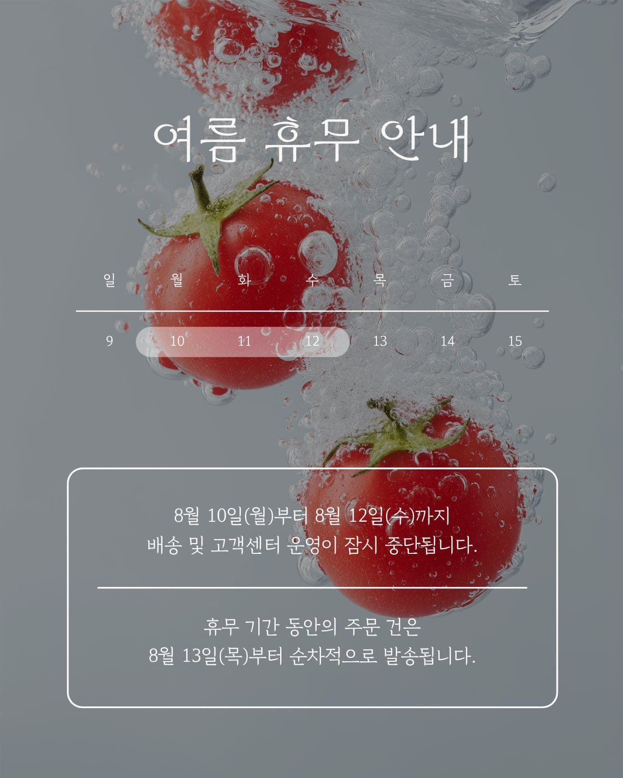 휴무 안내 공지