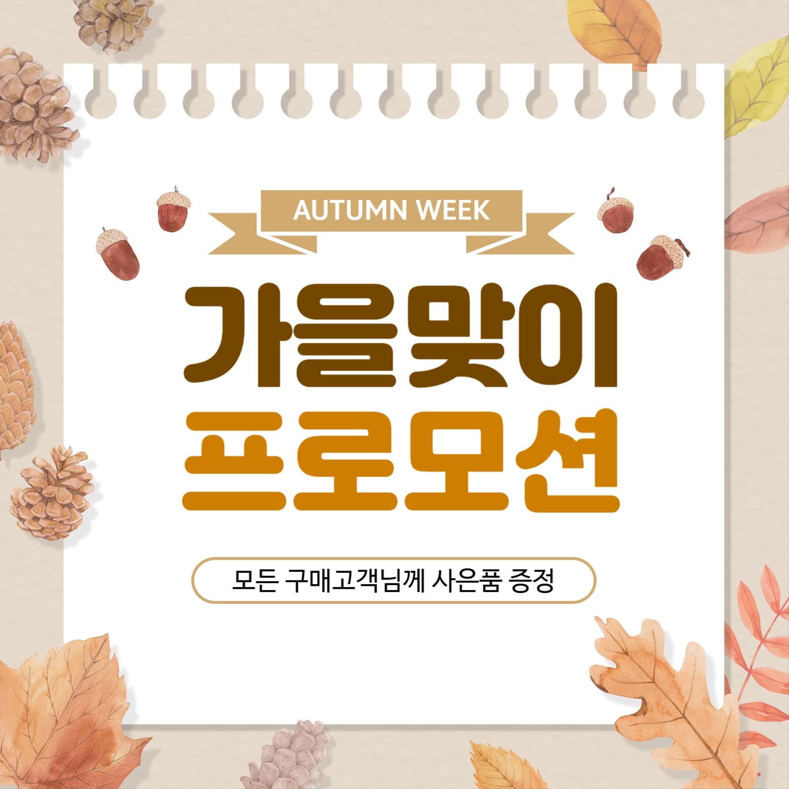 가을 프로모션 