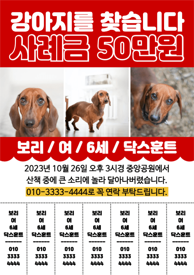 강아지를 찾습니다 전단지