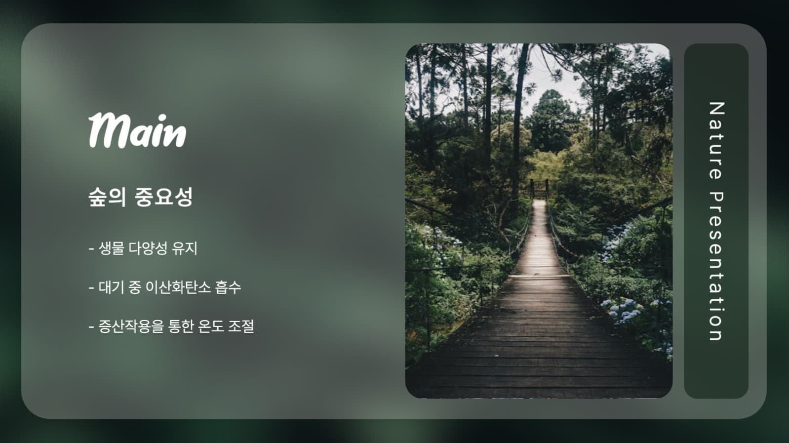 편안한 숲속 느낌의 프레젠테이션
